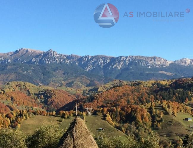 Oportunitate Unică! Teren 10.669 mp în Moieciu de Jos – Natură Pură, Pârâu și Potențial Turistic Maxim
