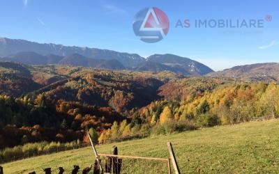 Oportunitate Unică! Teren 10.669 mp în Moieciu de Jos – Natură Pură, Pârâu și Potențial Turistic Maxim
