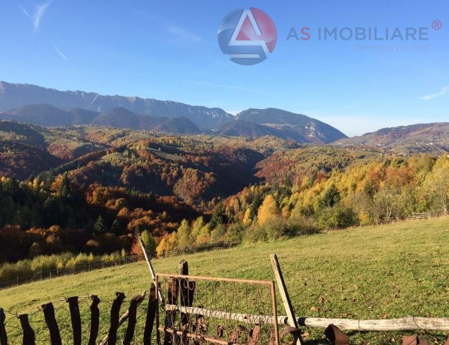 Oportunitate Unică! Teren 10.669 mp în Moieciu de Jos – Natură Pură, Pârâu și Potențial Turistic Maxim