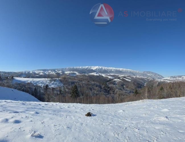 Oportunitate Unică! Teren 10.669 mp în Moieciu de Jos – Natură Pură, Pârâu și Potențial Turistic Maxim